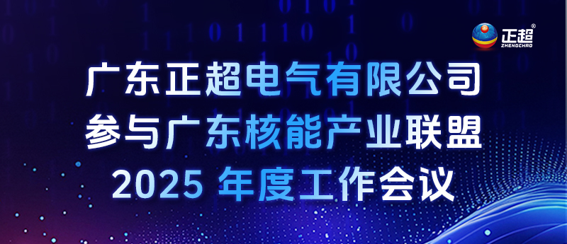 bv韦德参加广东核能产业联盟 2025 年度工作会议
